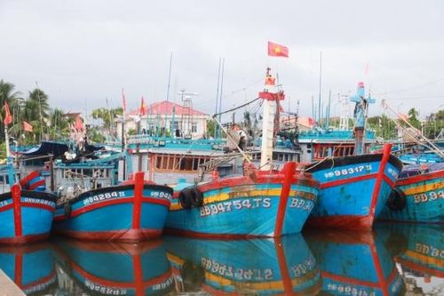 Quảng Ngãi: Cấm khai thác thủy sản tại 2 vùng biển vào tháng 11 hằng năm