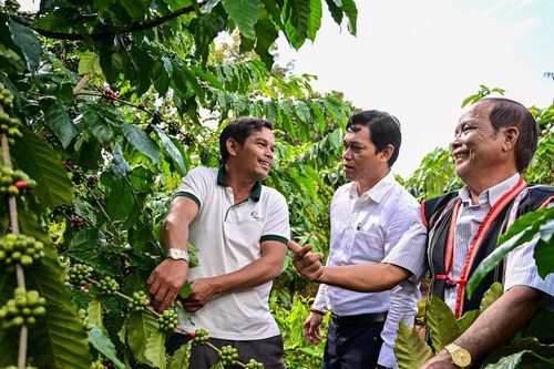 Tư vấn, đào tạo nghề trao sinh kế giải quyết việc làm để giảm nghèo
