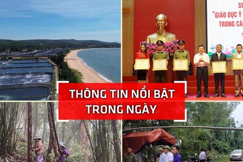 Nghệ An: Thông tin nổi bật ngày 30/10