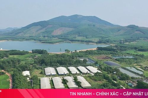Gần 80% trang trại chăn nuôi lợn quy mô lớn ở Hà Tĩnh thiếu giấy phép môi trường