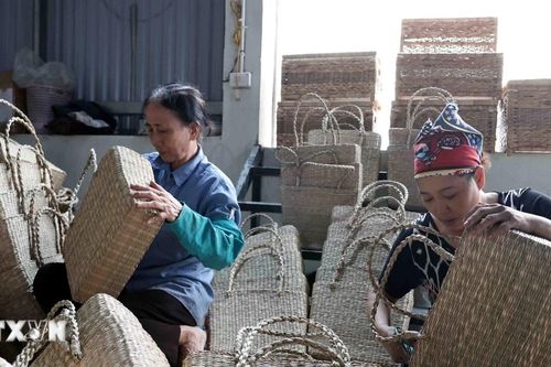 Khám phá giá trị văn hóa làng nghề truyền thống mây tre đan Phú Túc