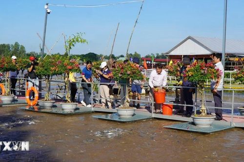 Đồng Tháp: Khai trương tour du lịch 'Sắc màu vùng biên - Đất Sen hồng'