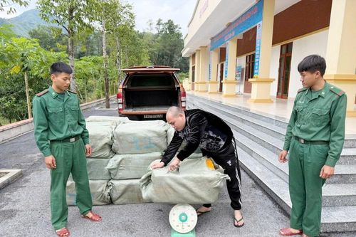 Quảng Ninh: Ngăn chặn gần 1 tấn nầm lợn 'bẩn' sắp tung ra thị trường