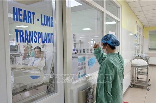 Bệnh viện Trung ương Huế xác lập kỷ lục ghép tim xuyên Việt