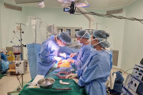 TP Hồ Chí Minh: Bệnh viện Quân y 175 sẽ triển khai thêm kỹ thuật ghép gan