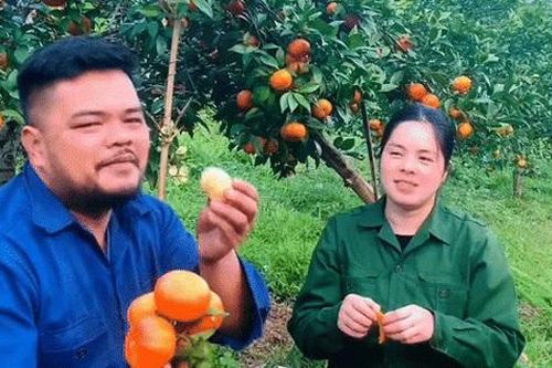 'Võ Tòng' vườn cam và chuyện tình của vợ chồng TikTok Đại Bắc Kạn