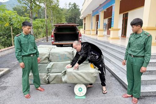 Quảng Ninh: Bắt giữ gần 1 tấn nội tạng lợn không rõ nguồn gốc
