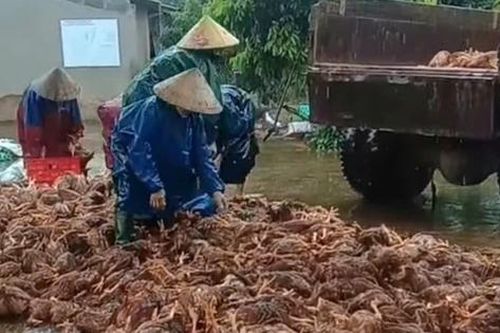 Lũ quét qua vài giờ, nông dân bỗng trắng tay