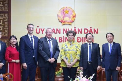 Bình Định tiếp tục xúc tiến triển khai 'siêu dự án' điện gió ngoài khơi 4,6 tỷ USD