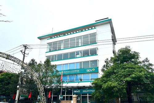 BIDV Bỉm Sơn tăng tốc 'về đích', tạo đà bứt phá cho Đại hội Đảng bộ nhiệm kỳ 2025-2030