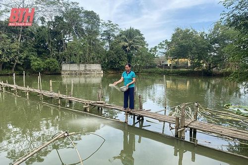 Tạo sinh kế, giúp hộ nghèo giảm nghèo bền vững