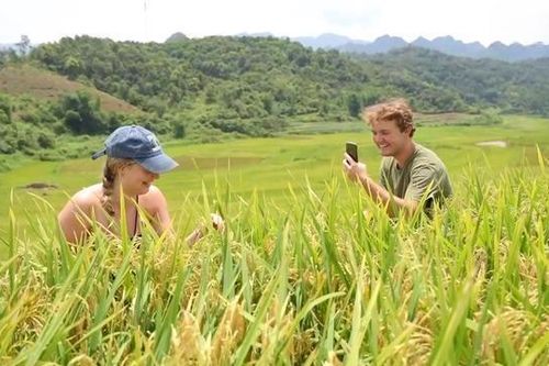 Thanh Hóa muốn hút 1,1 triệu khách đến với du lịch nông nghiệp