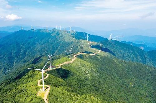 Việt Nam cần xây dựng chiến lược riêng để chuyển đổi xanh