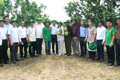 Hội Tiểu nông Cuba tham quan một số mô hình nông nghiệp tiêu biểu trên địa bàn Đồng Nai