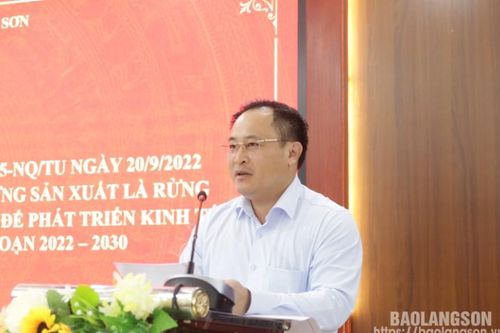 Sơ kết 2 năm triển khai thực hiện Nghị quyết số 95 của Ban Thường vụ Tỉnh ủy