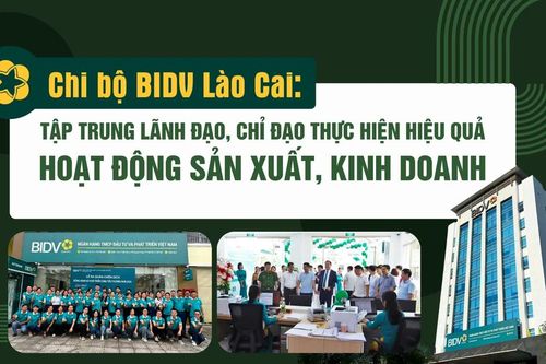 Tập trung lãnh đạo, chỉ đạo thực hiện hiệu quả hoạt động sản xuất, kinh doanh