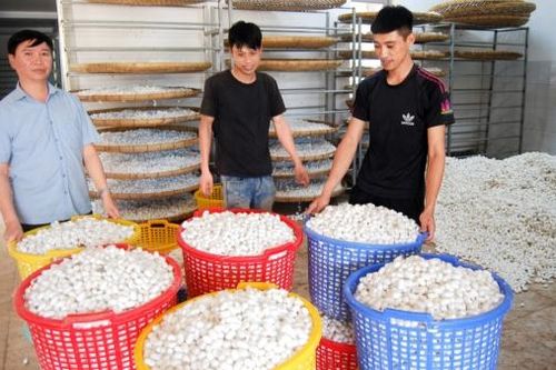Khơi sáng những miền quê đáng sống (Bài 4)