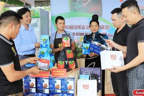 Lựa chọn hàng hóa thương hiệu Việt