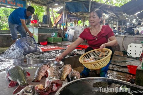 Đi lên từ gian khó