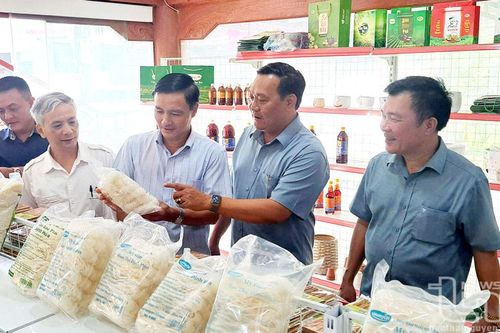 Nhân dịp Định Hóa tổ chức Lễ công bố quyết định huyện đạt chuẩn nông thôn mới: 'Trái ngọt' từ sự chung sức, đồng lòng