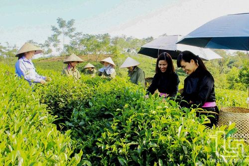 Phú Đình nỗ lực 'về đích' nông thôn mới nâng cao