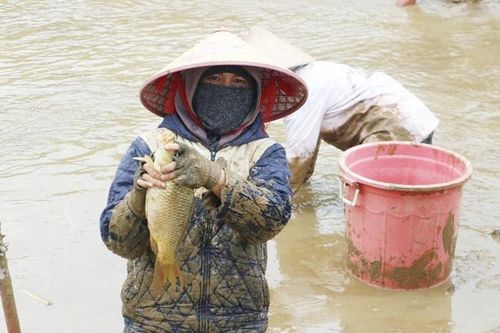 Giúp phụ nữ nâng cao quyền năng kinh tế