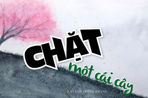 Chặt một cái cây