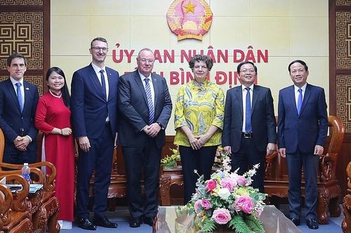 Bình Định: Thúc đẩy triển khai dự án điện gió ngoài khơi