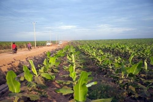 Nguyên nhân do đâu khiến HNG báo lỗ sau thuế hơn 180 tỷ đồng?