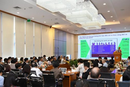 Hơn nửa dân số thế giới được bao phủ an sinh xã hội