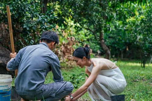 Khánh Hòa: Hướng tới 80% điểm, cơ sở du lịch được dán nhãn xanh