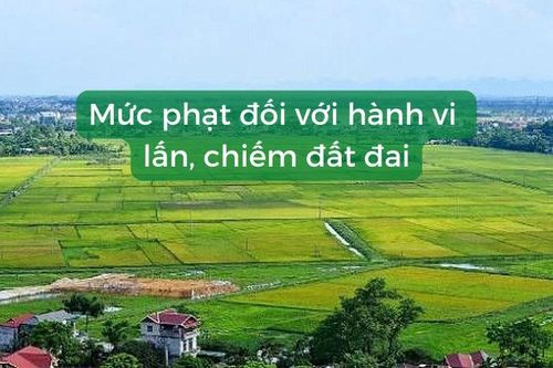 Hành vi lấn chiếm đất nông nghiệp bị xử phạt thế nào?