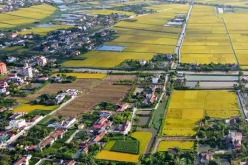 TP Hồ Chí Minh cho phép xây dựng tạm công trình phục vụ sản xuất trên đất nông nghiệp