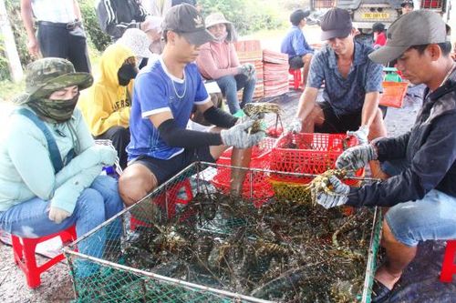 Sức hấp dẫn của sản vật miền biển Sông Cầu