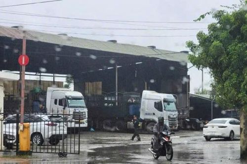 Khám xét trụ sở, văn phòng của Công ty Cổ phần Vận tải Hùng Đạt