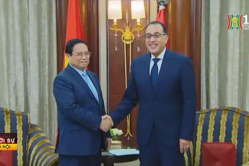 Tăng cường hợp tác Việt Nam - Ai Cập