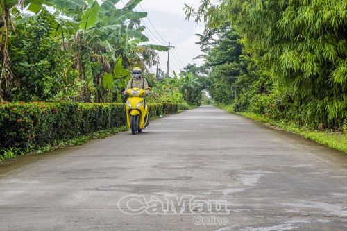 Đội ngũ hoạt động ở ấp, khóm: Tựa tre, chăm măng - Bài cuối: Bàn về giải pháp