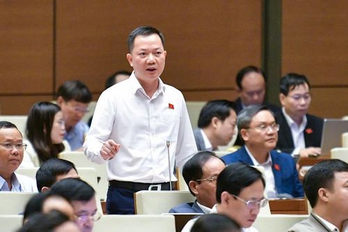 Đại biểu Quốc hội: Việc áp thuế VAT 5% với phân bón có lợi cho '3 nhà'