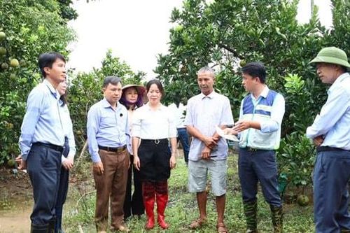 Hà Nội xây dựng các mô hình nông nghiệp chất lượng cao
