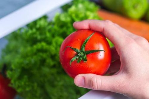 Mua cà chua núm 5 hay 6 cánh và cách khử độc cho cà chua bị ép chín bằng hóa chất đơn giản nhất