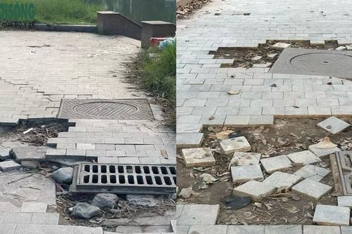 Cảnh xuống cấp của Công viên hồ điều hòa Mai Dịch, Hà Nội