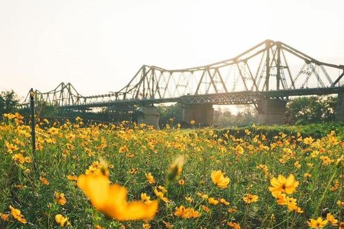 Ra mắt 'Bến hoa Phúc Xá'