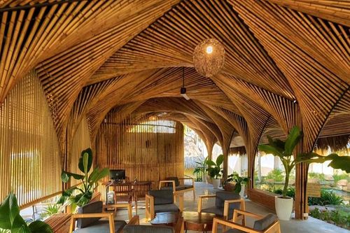 Giải pháp bền vững chống biến đổi khí hậu