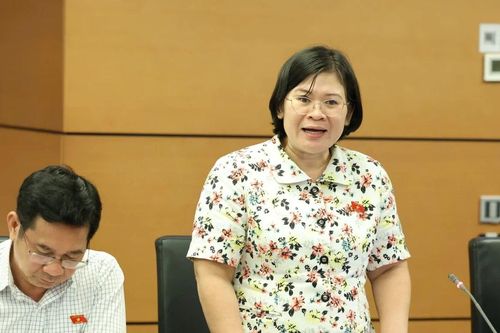 Đề nghị Quốc hội sớm ban hành Luật Đô thị cho các thành phố trực thuộc Trung ương