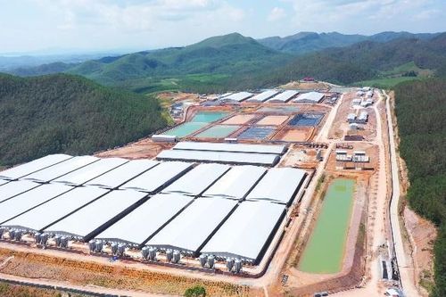 Nông Nghiệp BaF Việt Nam (BAF) lãi 9 tháng cao gấp 4 lần, quy mô đàn heo tăng 73%