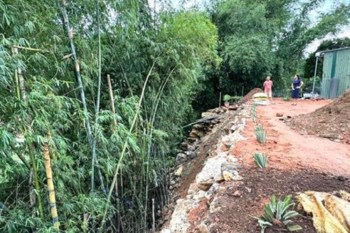 Bờ sông Vệ sạt lở nghiêm trọng: Bí thư Quảng Ngãi yêu cầu lên phương án bảo vệ khẩn cấp