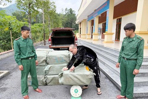 Phát hiện, thu giữ gần 1 tấn nầm lợn đông lạnh không rõ nguồn gốc
