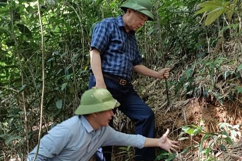 Thanh Hóa: Công bố tình huống khẩn cấp sạt lở đồi tại huyện miền núi