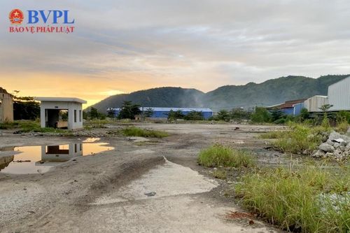 Trung Nam có nguy cơ mất 93 tỉ trong vụ án tranh chấp hợp đồng đặt cọc với Dana Ý