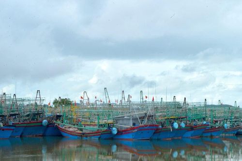 Trả lời kiến nghị cử tri huyện Quỳnh Lưu về vấn đề nạo vét luồng lạch cảng cá Lạch Quèn